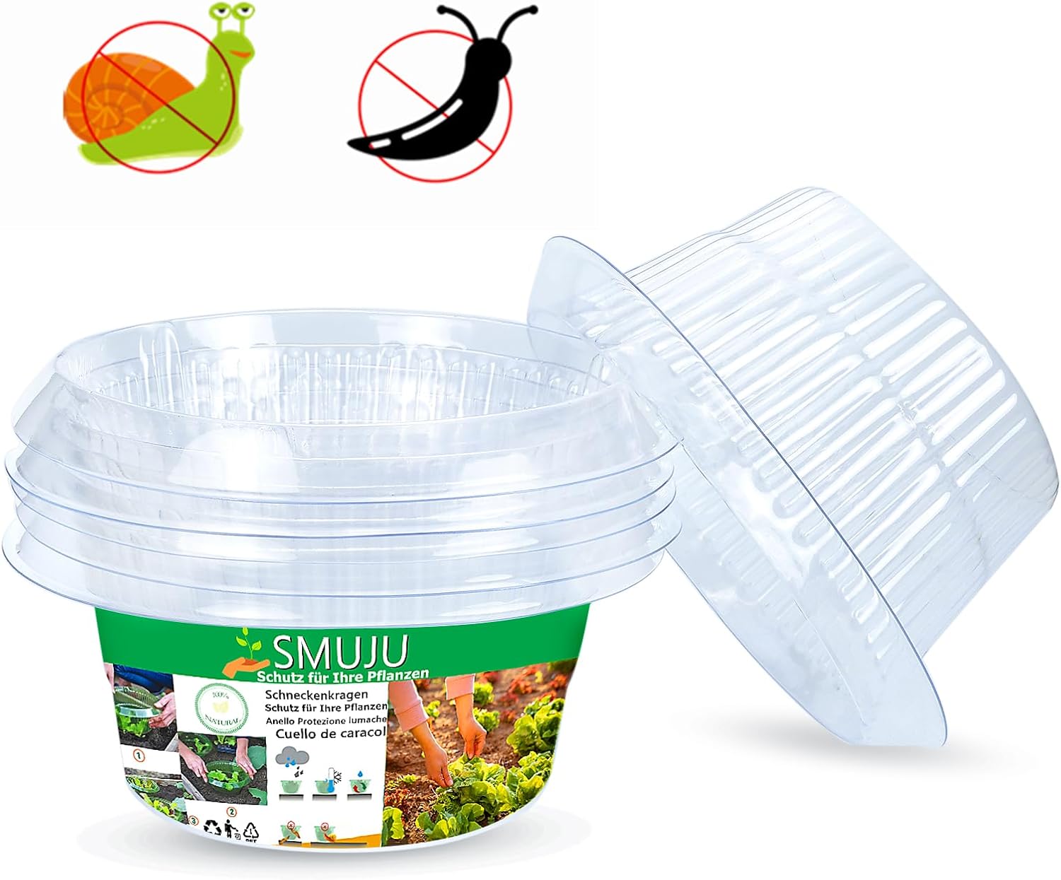 kolnierz-slimakowy-ogrod-1