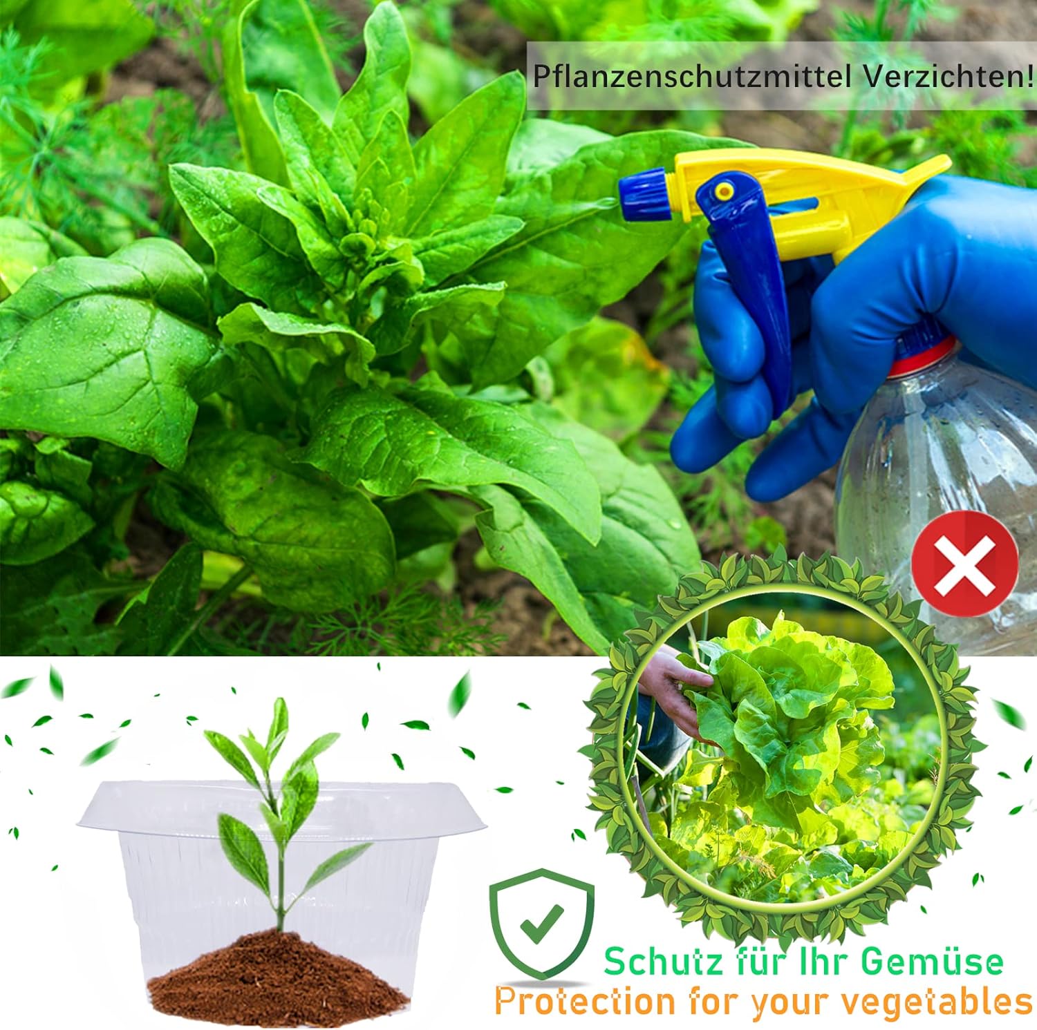 kolnierz-slimakowy-ogrod-3