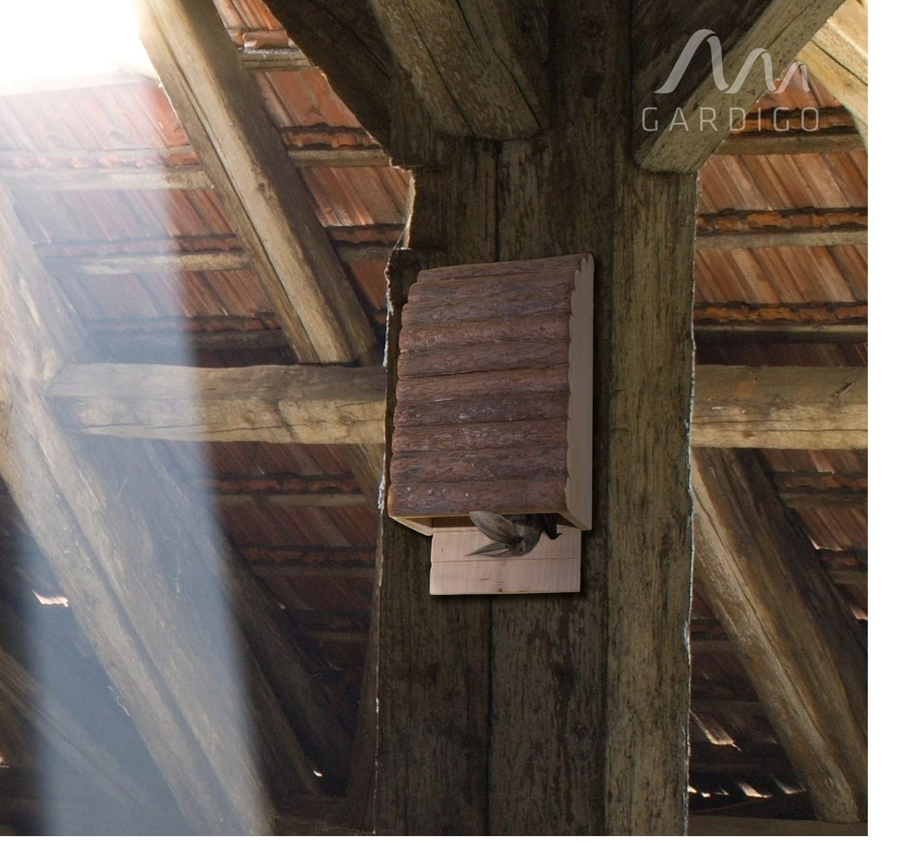 Zrzut ekranu 2025-11-7 o 07.26.38