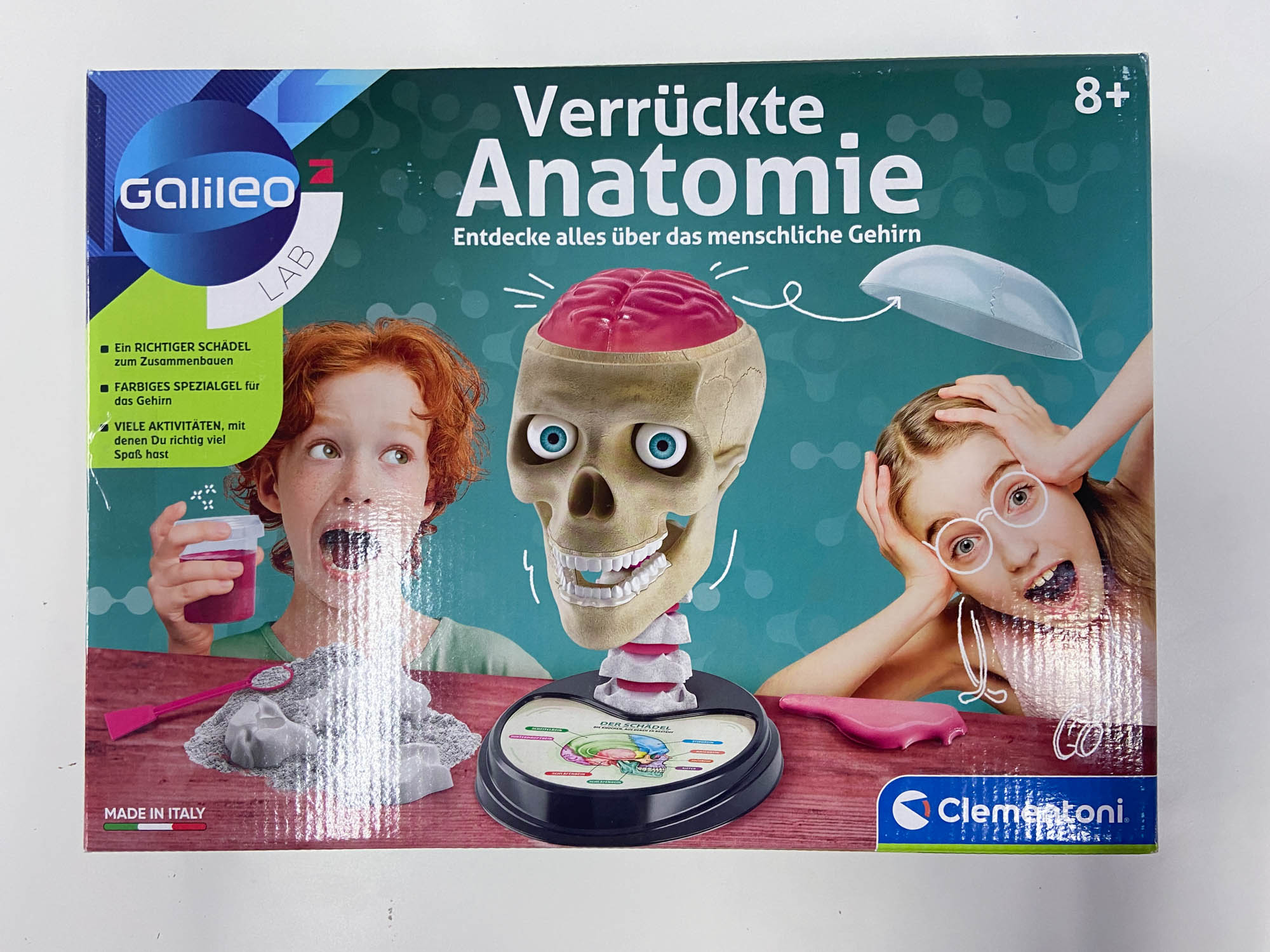 anatomia-2