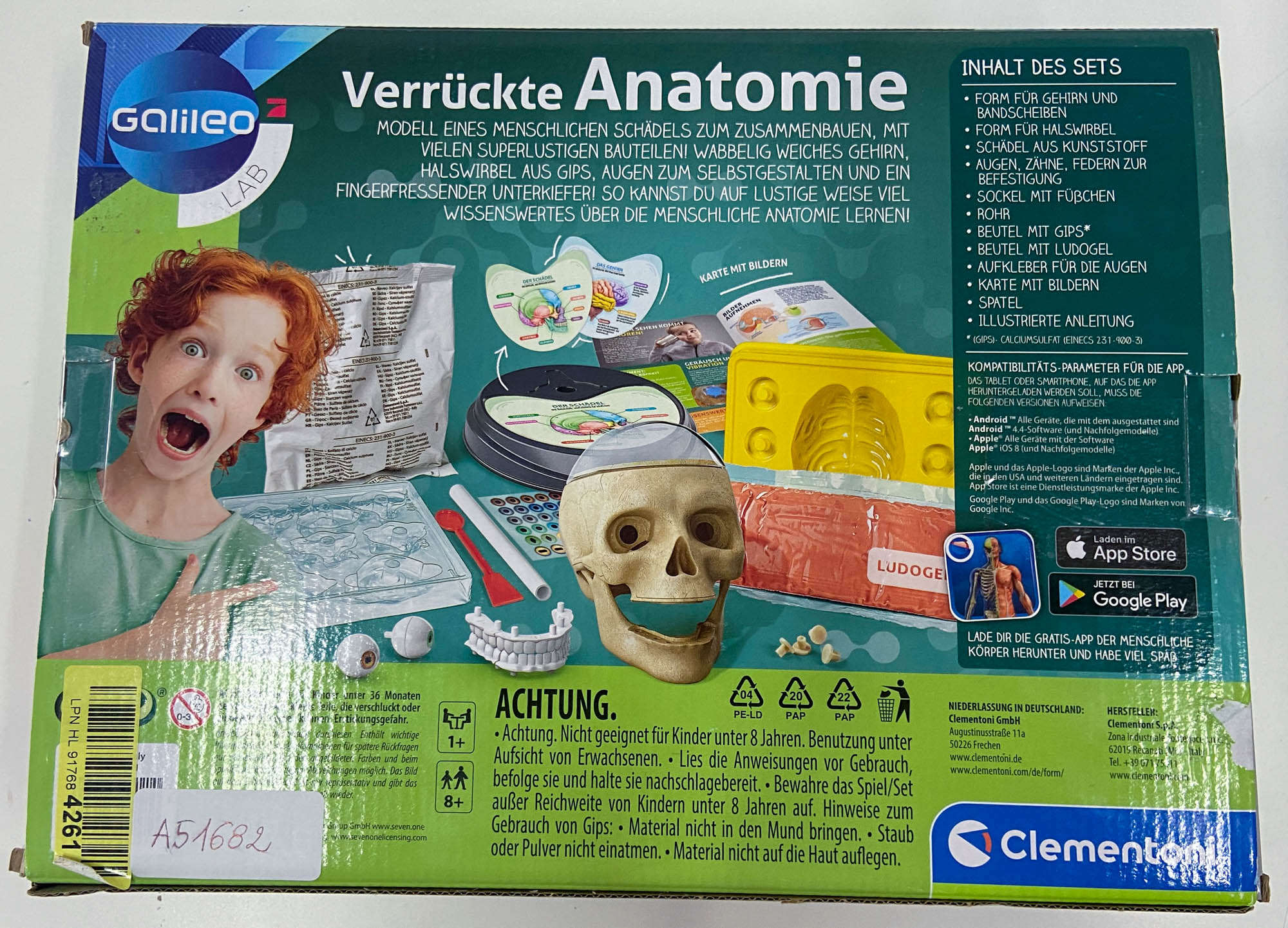 anatomia-4